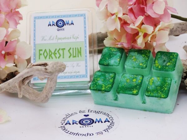 Clamshell Aroma Forest Sun